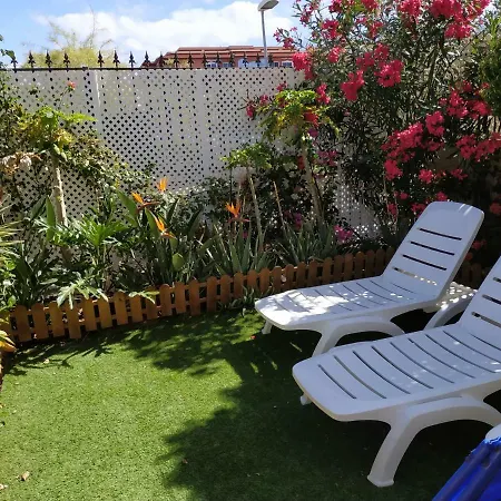 Duplex Lunaria In Arco Iris אדחה