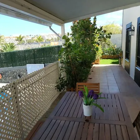 Duplex Lunaria In Arco Iris *